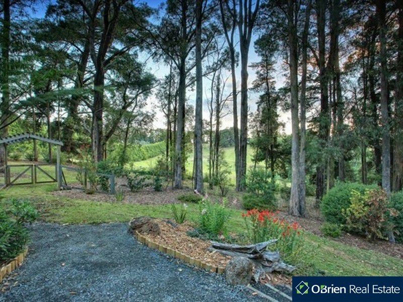 13 Majestic Drive, Emerald VIC 3782