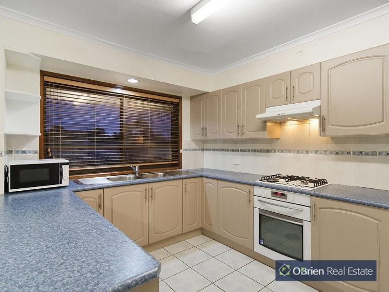 16 Rhyl Close, Endeavour Hills VIC 3802