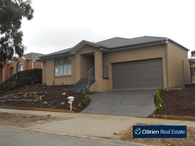 17 Sallybrook Circuit, Narre Warren VIC 3805