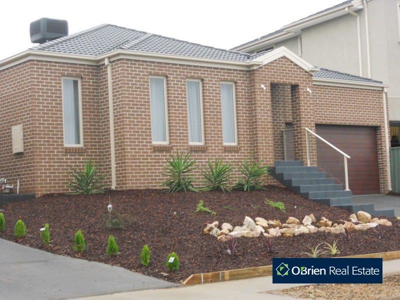 19 Sallybrook Circuit, Narre Warren VIC 3805