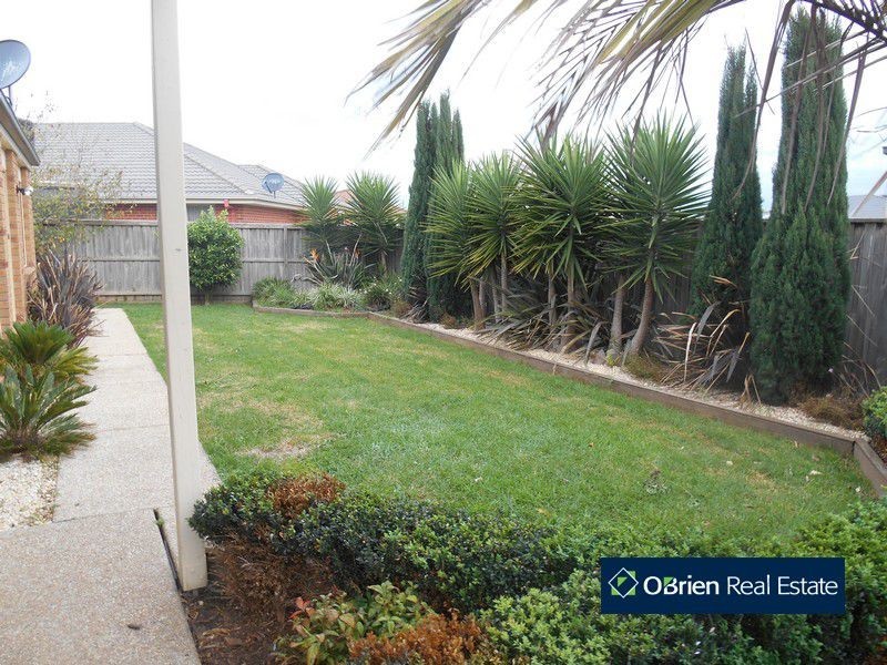 25 Robusta Avenue, Cranbourne VIC 3977
