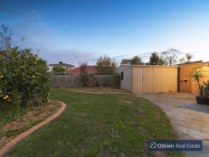 11 Wadham Court, Endeavour Hills VIC 3802