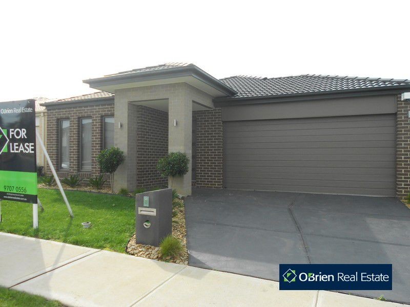 6 Ciliata Street, Cranbourne North VIC 3977
