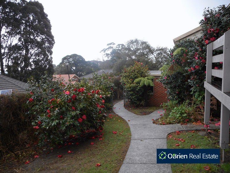 18 Rheanva Street, Berwick VIC 3806