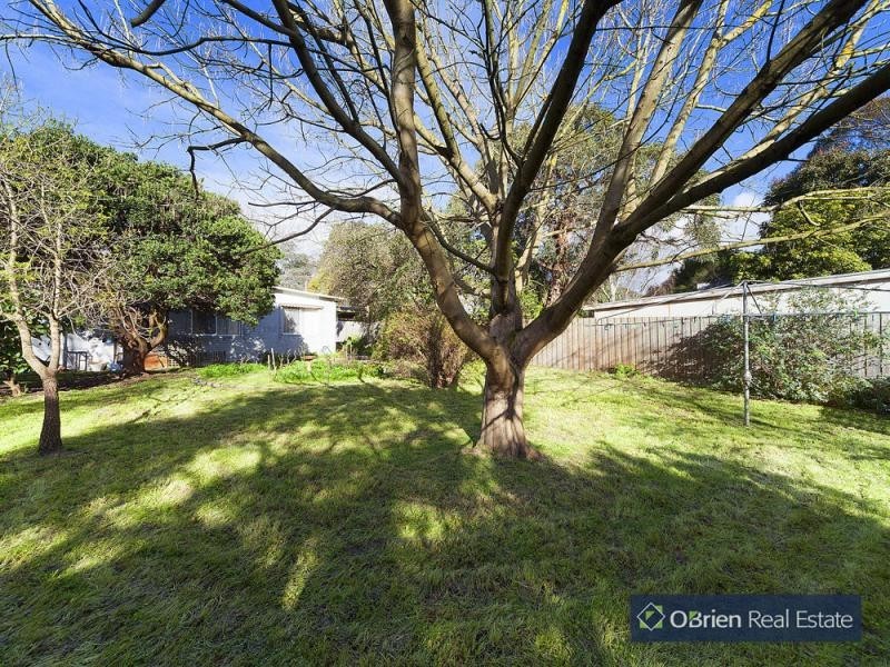 16 Tavistock Road, Frankston South VIC 3199