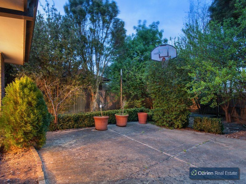 24 Homestead Road, Berwick VIC 3806