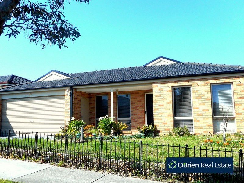 58 Elliot Parade, Lynbrook VIC 3975