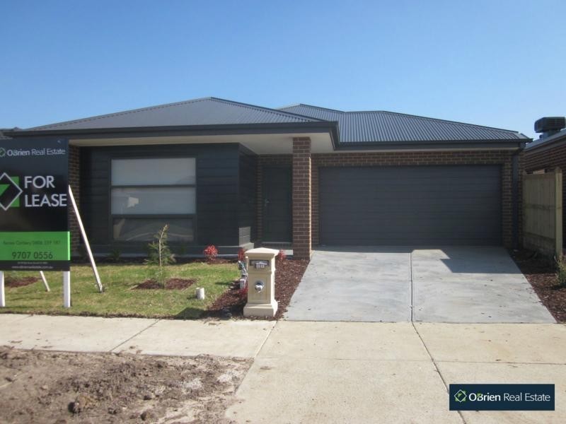 19 Mitta Mitta Street, Clyde North VIC 3978