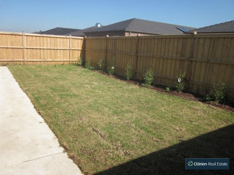 19 Mitta Mitta Street, Clyde North VIC 3978