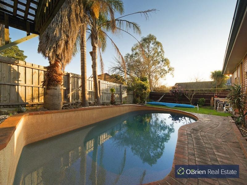 17 Primrose Hill Close, Endeavour Hills VIC 3802