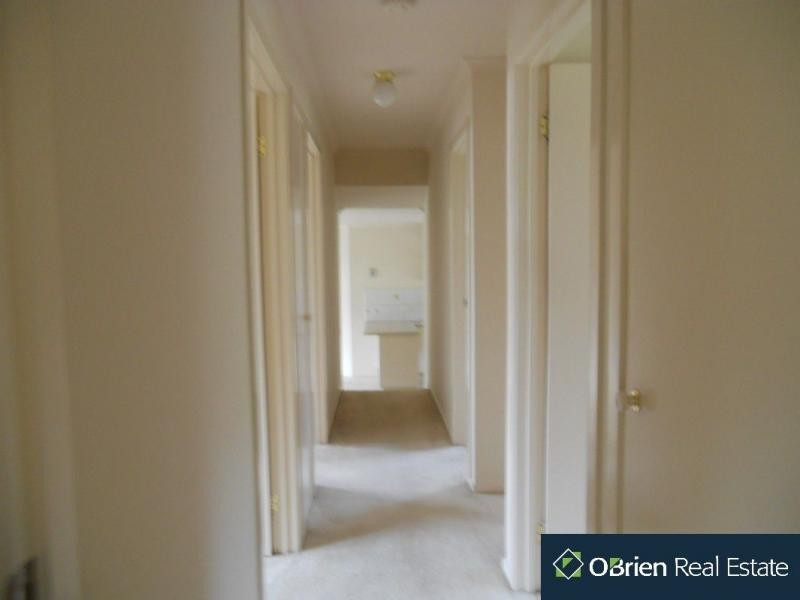 17 Wanderer Court, Berwick VIC 3806