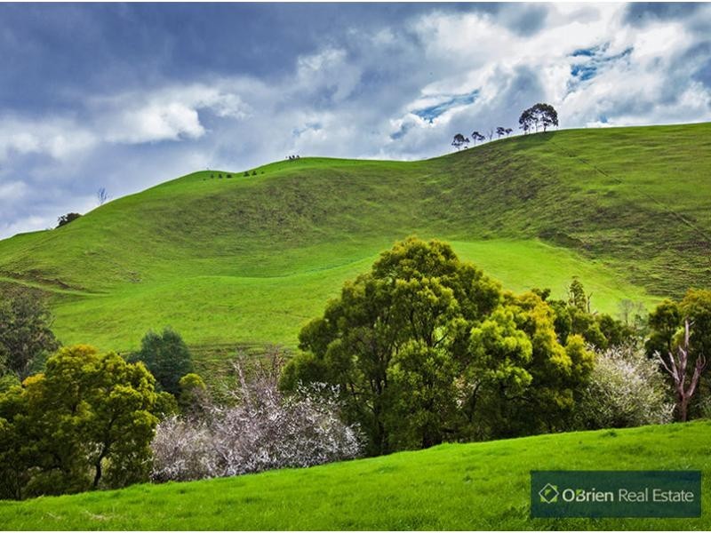 431 Territory Road, Strzelecki VIC 3950