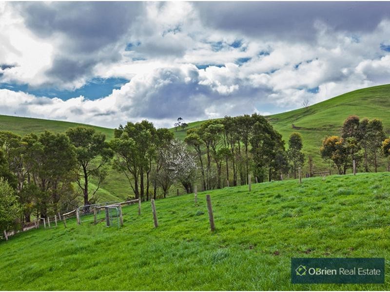 431 Territory Road, Strzelecki VIC 3950