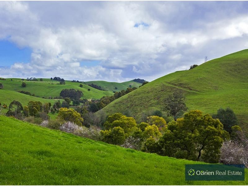 431 Territory Road, Strzelecki VIC 3950