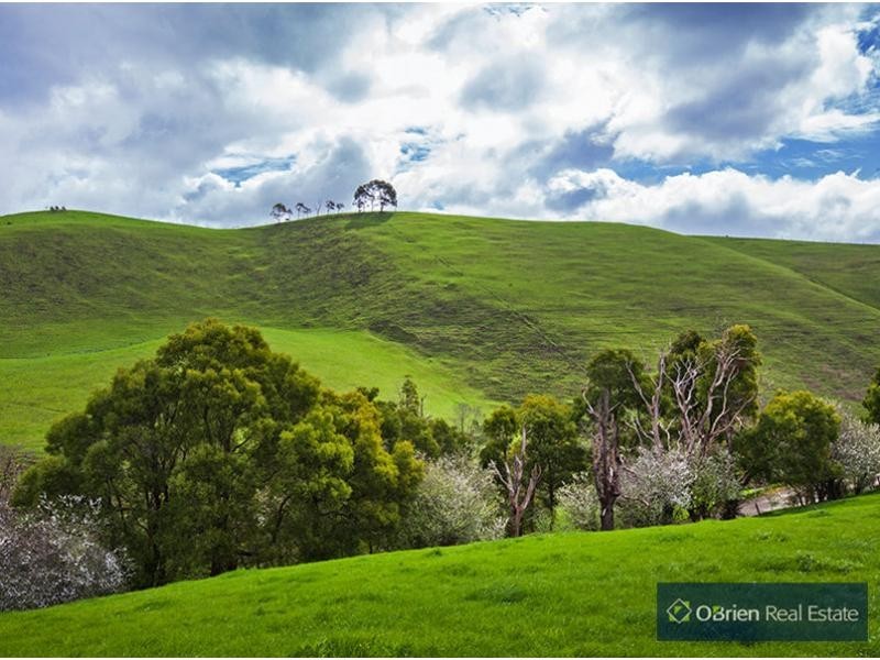 431 Territory Road, Strzelecki VIC 3950