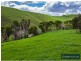 431 Territory Road, Strzelecki VIC 3950