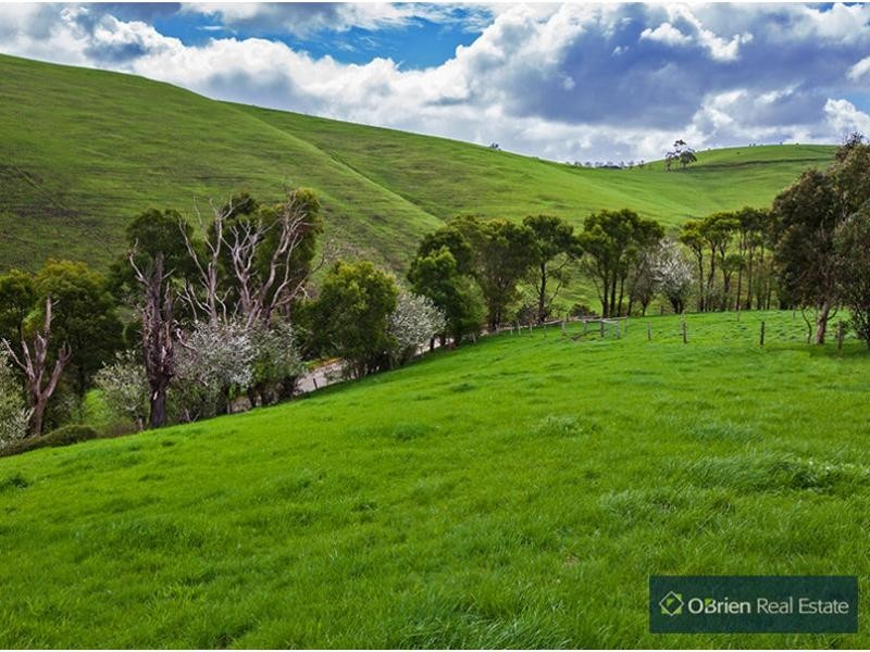 431 Territory Road, Strzelecki VIC 3950