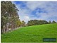 431 Territory Road, Strzelecki VIC 3950