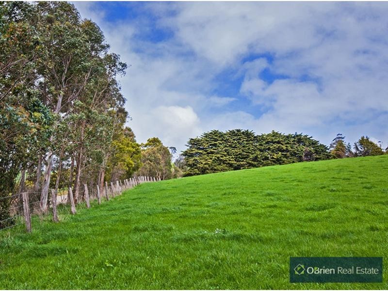 431 Territory Road, Strzelecki VIC 3950