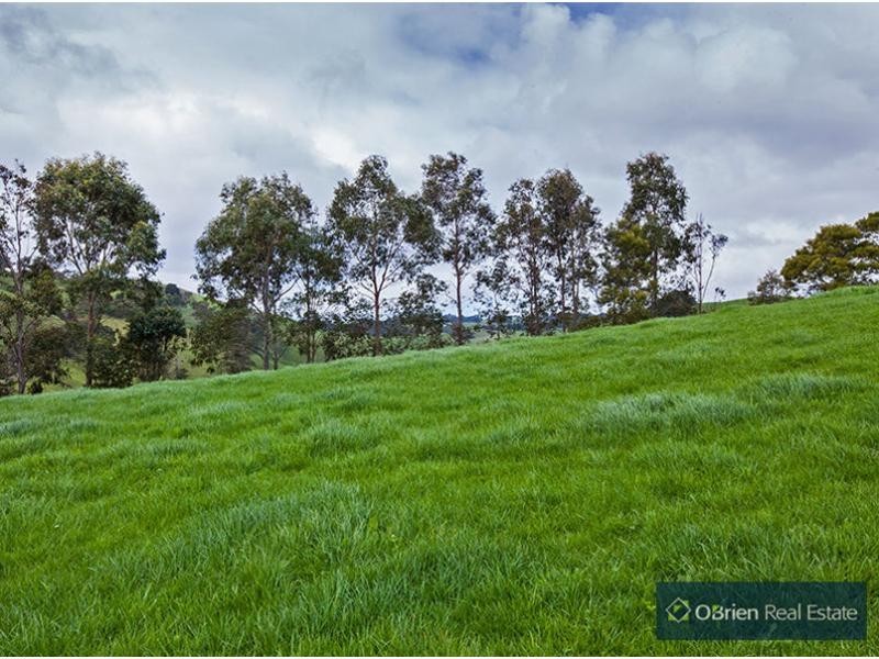 431 Territory Road, Strzelecki VIC 3950