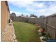 15 Pepperbush Circuit, Cranbourne VIC 3977