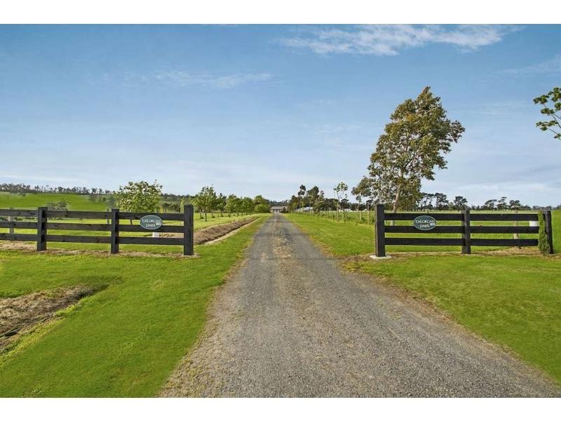 190 Nuttalls Road, Yinnar VIC 3869