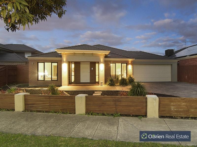 156 Paterson Drive, Lynbrook VIC 3975