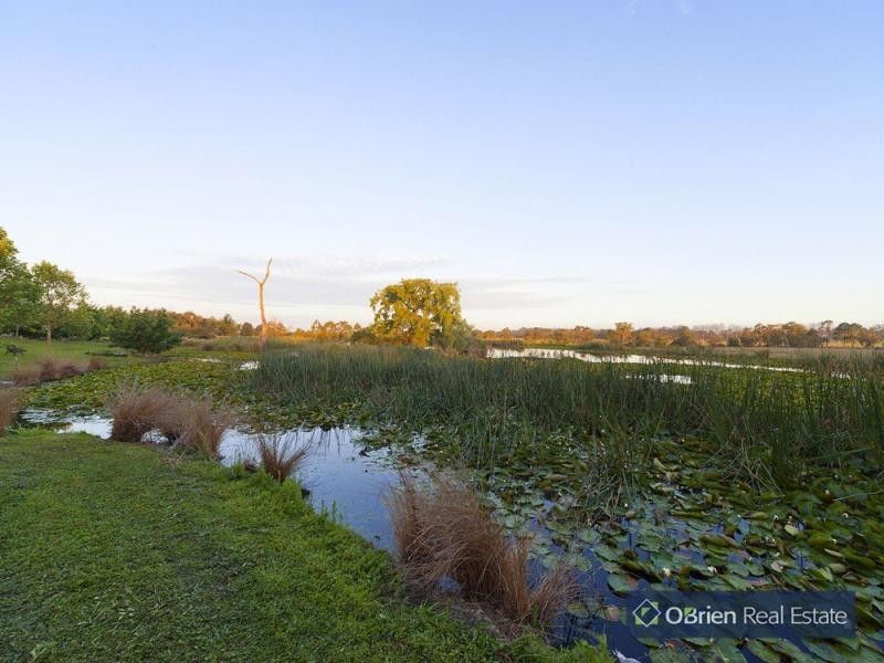 55 Ti-Tree Road, Garfield VIC 3814