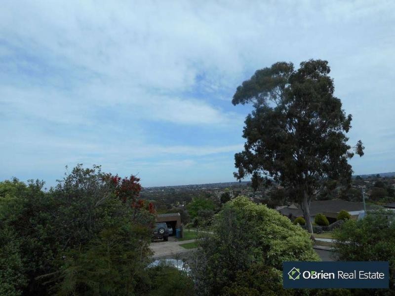 12 Moody Place, Endeavour Hills VIC 3802