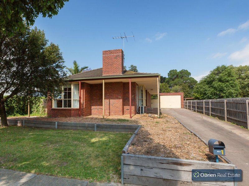 1 St Boswells Avenue, Berwick VIC 3806