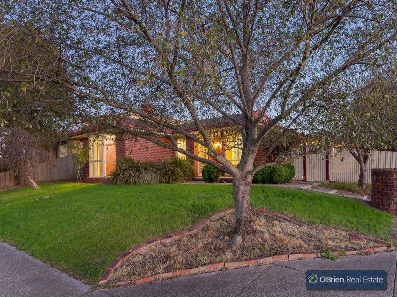 1 Peveril Court, Narre Warren VIC 3805