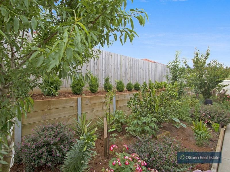 16 Mayfair Drive, Drouin VIC 3818