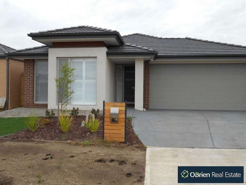 19 Glenelg Street, Clyde North VIC 3978