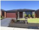 8 Dusky Bells Drive, Cranbourne West VIC 3977