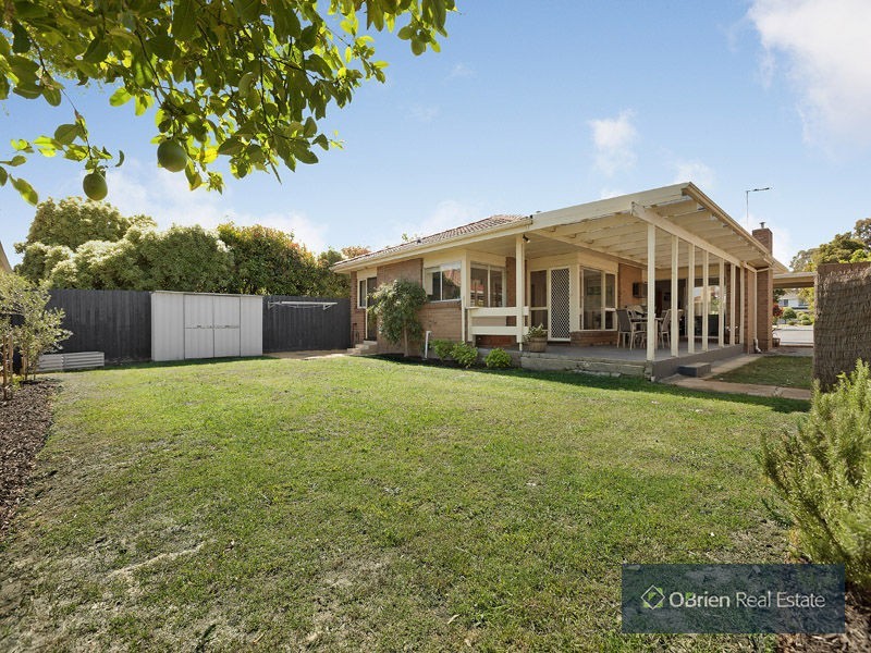 18 Alray Drive, Cheltenham VIC 3192