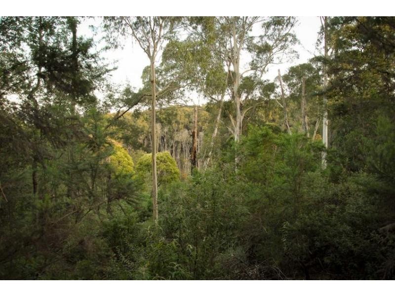 128 Hepner Road, Emerald VIC 3782