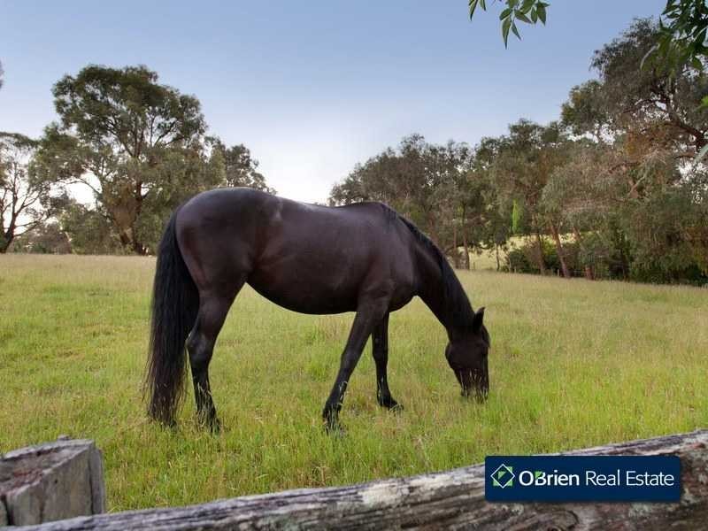 1533 Wellington Road, Belgrave South VIC 3160