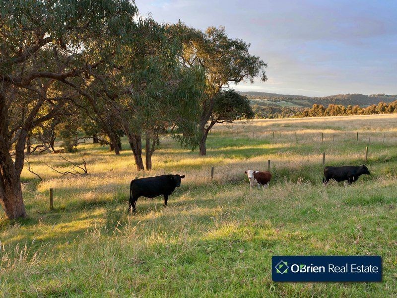 435 Berwick/Harkaway Road, Narre Warren East VIC 3804