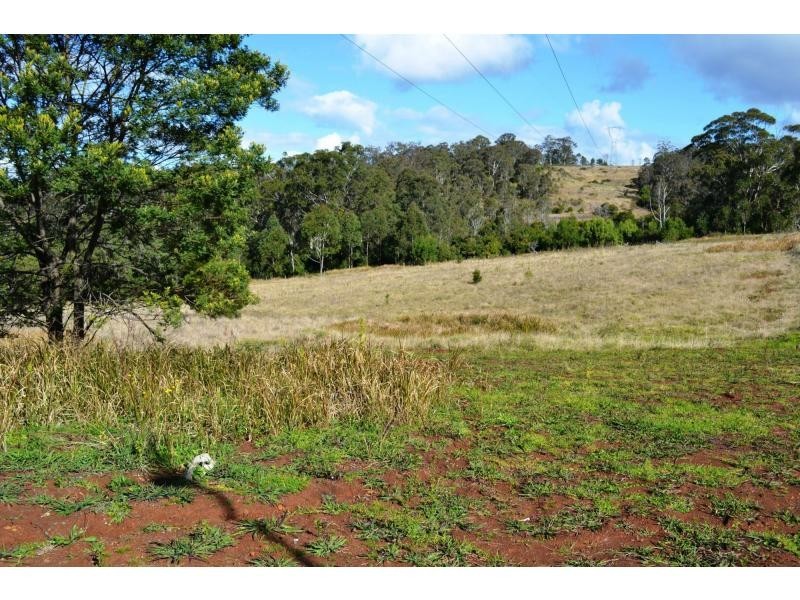 Lot 24 Wilkes Road, Hampton QLD 4352