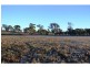 Lot 95 Phipps Drive, Meringandan QLD 4352