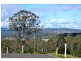 Lot 33 Wilkes Road, Hampton QLD 4352