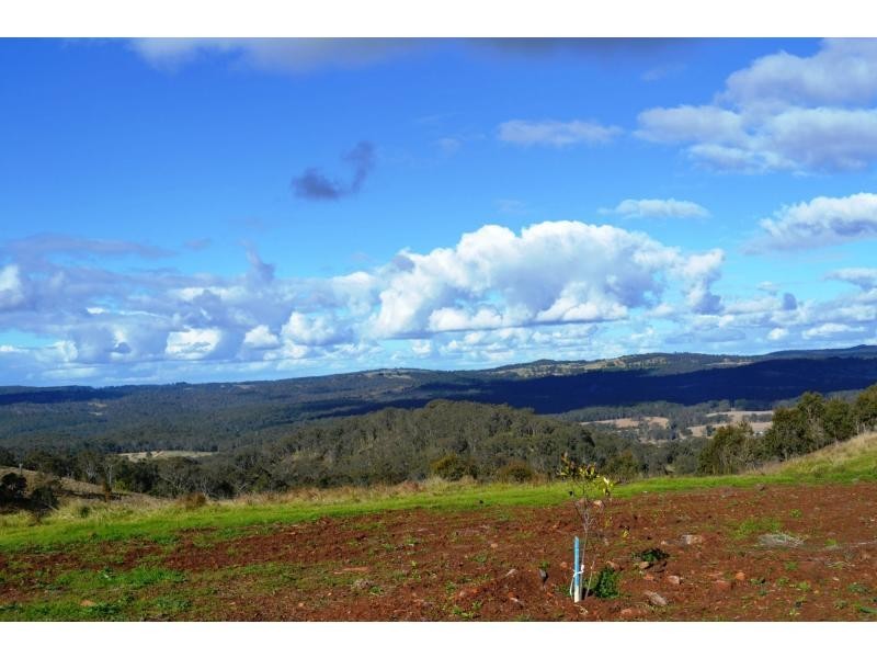 Lot 33 Wilkes Road, Hampton QLD 4352