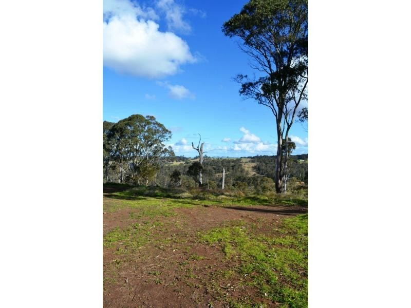 Lot 34 Wilkes Road, Hampton QLD 4352