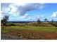 Lot 34 Wilkes Road, Hampton QLD 4352
