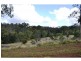 Lot 24-34, 48, 156 Wilkes Road, Hampton QLD 4352