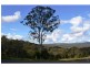 Lot 24-34, 48, 156 Wilkes Road, Hampton QLD 4352