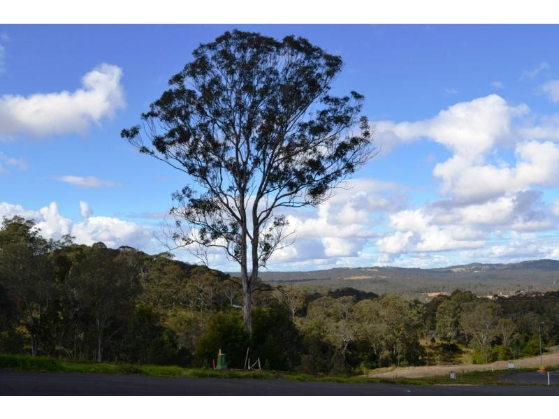 Lot 24-34, 48, 156 Wilkes Road, Hampton QLD 4352