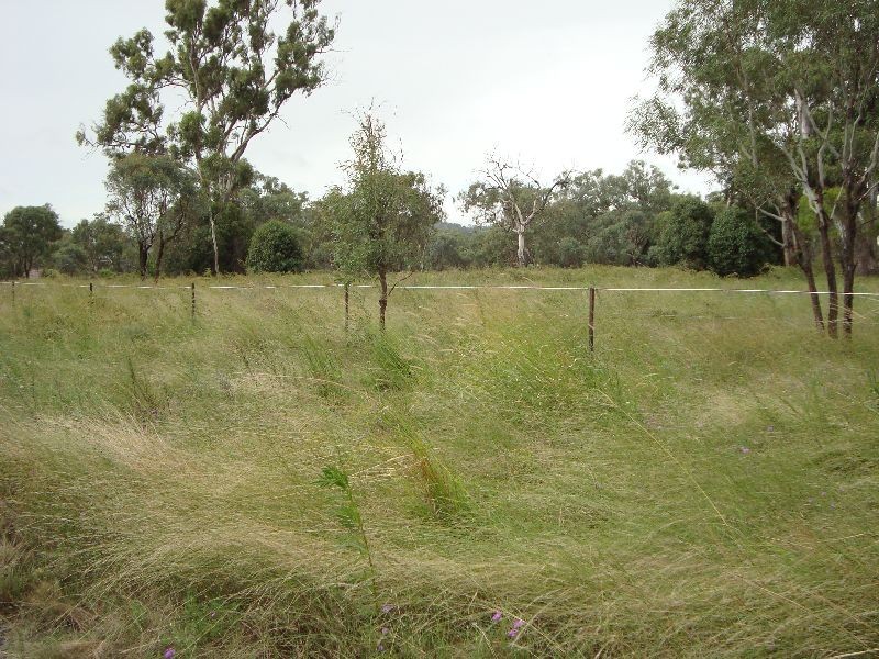 164 E.Drews Road, Westbrook QLD 4350