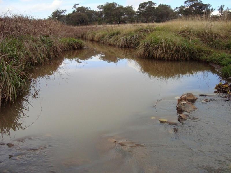 164 E.Drews Road, Westbrook QLD 4350