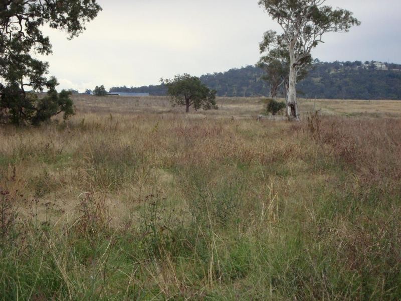 164 E.Drews Road, Westbrook QLD 4350